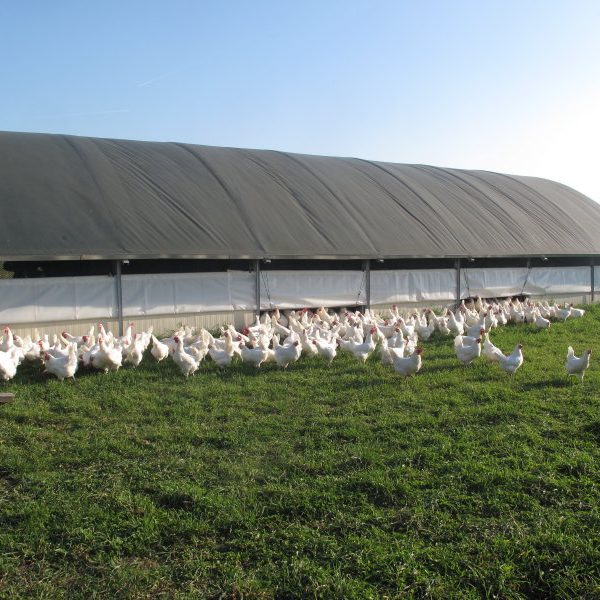 Maeahgut_Mobilstall1