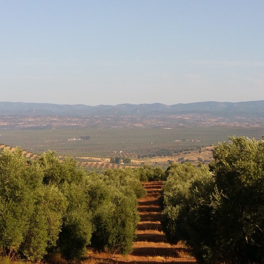 WhatsApp Image 2020-06-07 at 18.57.57